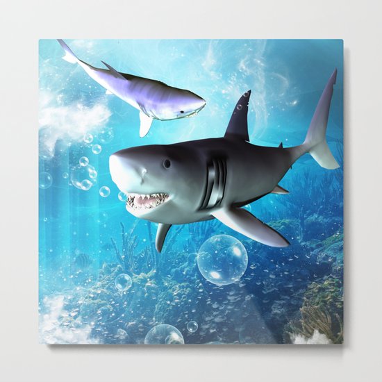 Shark Metal Print