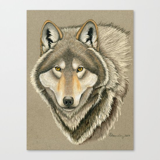 Grey Wolf Portrait Canvas Print