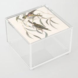 Historical Vintage Birds Perching Acrylic Box