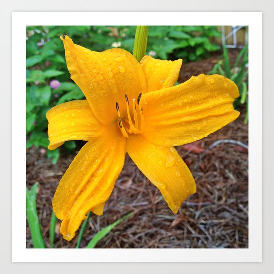 Yellow Raindrops Art Print