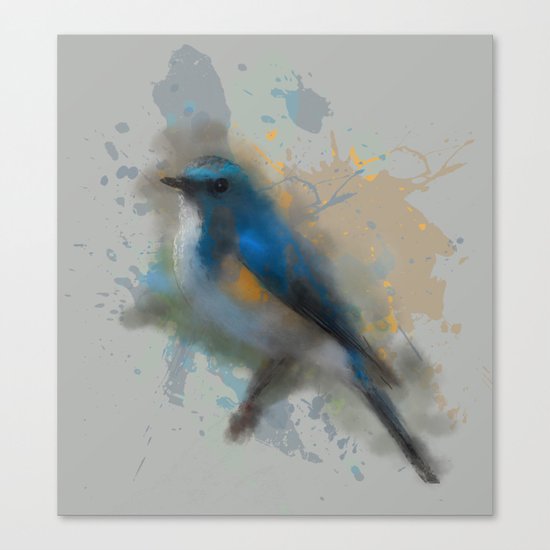 Himalayan bluetail Canvas Print