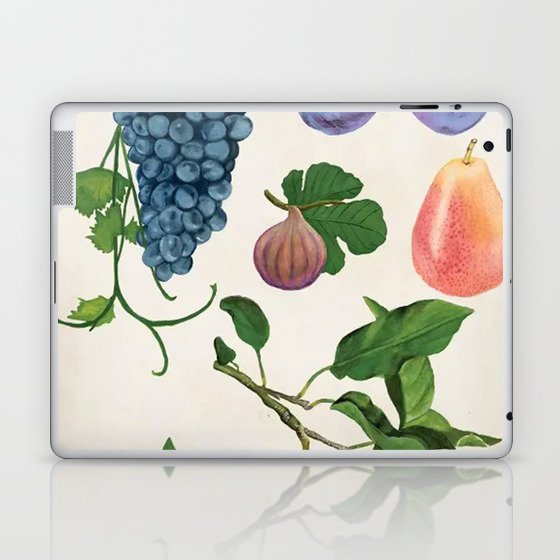 tropical fruits  Canvas Poster Wall Decor Laptop & iPad Skin