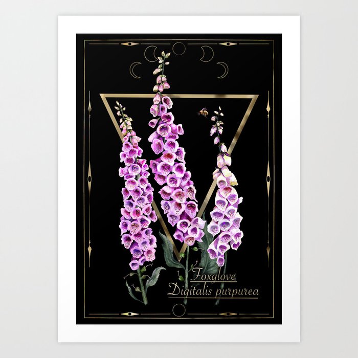 Foxglove. Digitalis. Poisonous herb Art Print