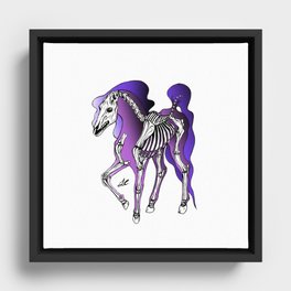 Horse Skeleton Framed Canvas
