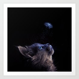 Fascinated cat about jellyfish Art Print