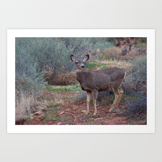 Zion Deer Art Print