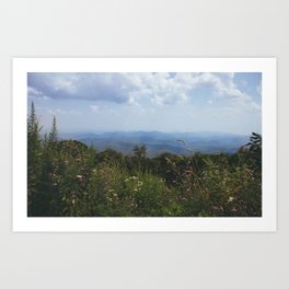 Blue Ridge Mountains & Flowers  Art Print