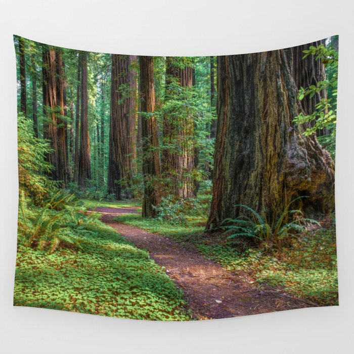 Redwood tapestry new arrivals