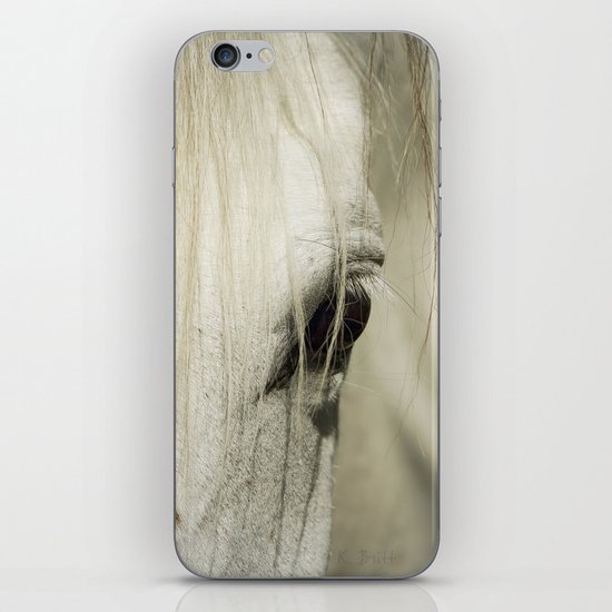 Behind the Veil iPhone & iPod Skin