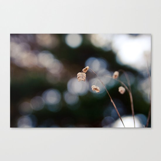 Field of Forgotten Dreams Canvas Print