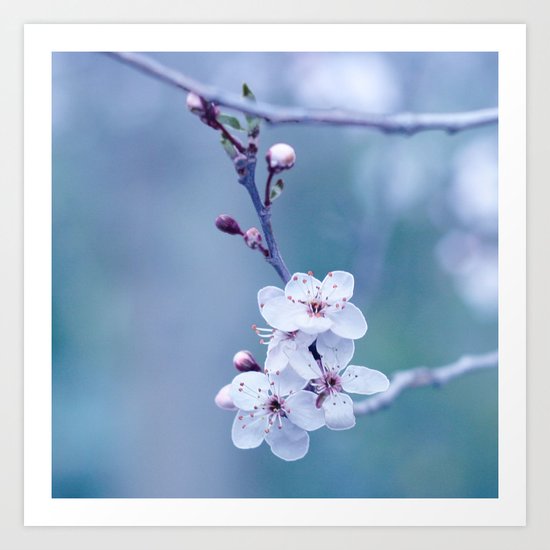 hope springs eternal Art Print