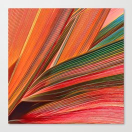 Variegated Flax colorful art and home decor Canvas Print
