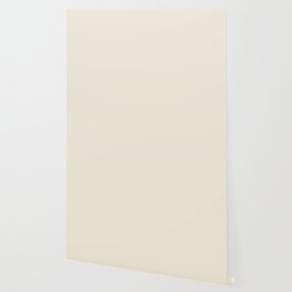 Off White Cream Linen Solid Color Pairs PPG Angel Food PPG1088-1 - All One Single Shade Hue Colour Wallpaper