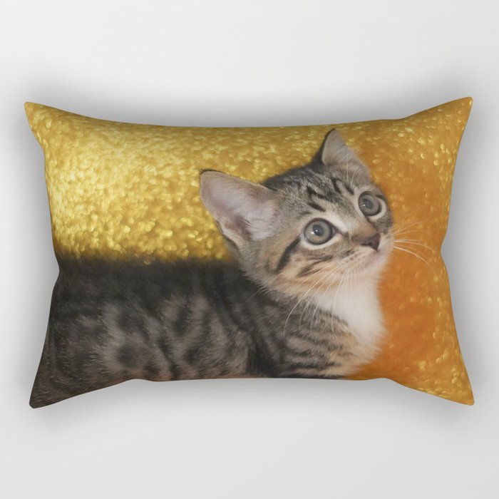 Rectangular Pillow