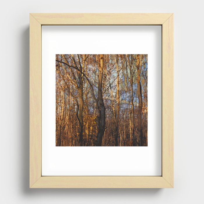 Autumn forest Recessed Framed Print