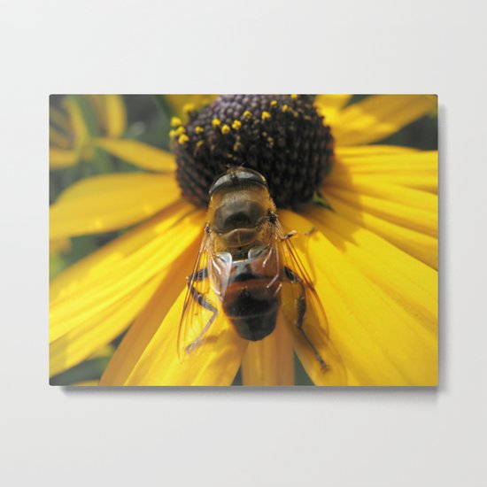 A Bee's Life Metal Print