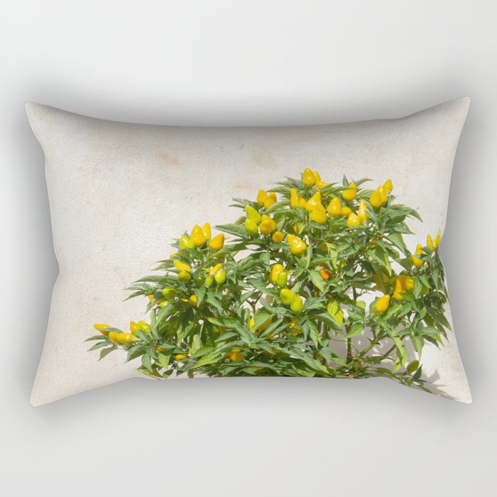 Greek Still Live | Plant in Terra Pot | Peper Yellow Green Bush | Sunny Summer Travel Photography Rectangular Pillow