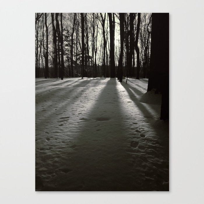 Wooded Winter Canvas Print