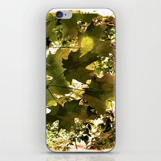 Maple iPhone Skin
