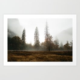 Fog in the Valley Art Print | Mystical, Rain, Forest, Film, Johnmuir, Valley, Nature, Foggy, Photo, California 