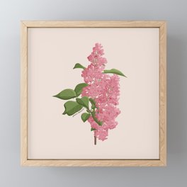 Lilac Framed Mini Art Print