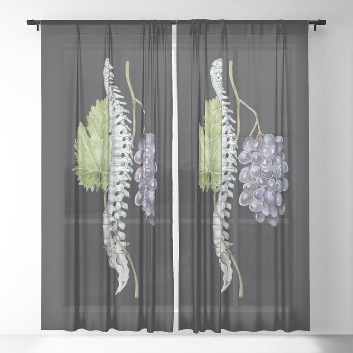 Sheer Curtain