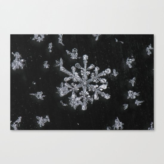 Snowflake Canvas Print