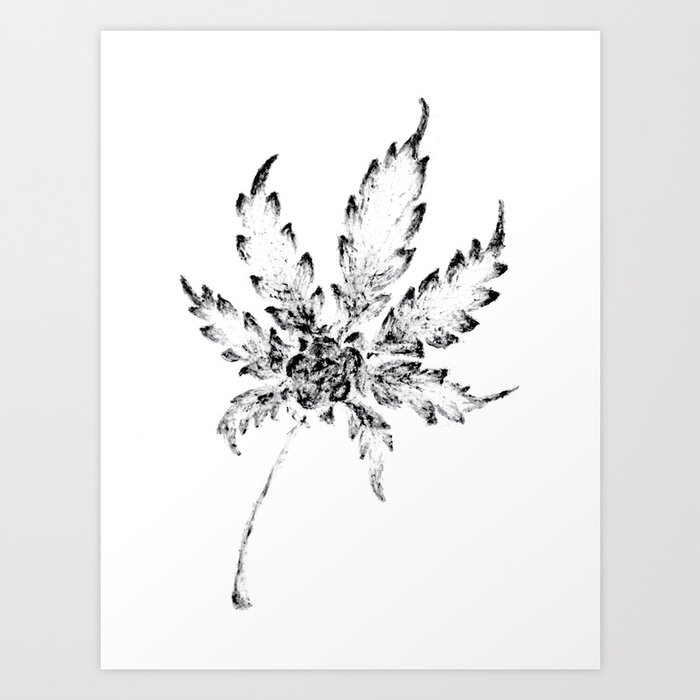 Black & White (Cannabis Resin Leaf) Art Print