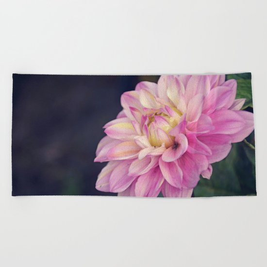 Pink sweet dahlia Beach Towel