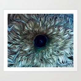 Mushroom Eye Art Print