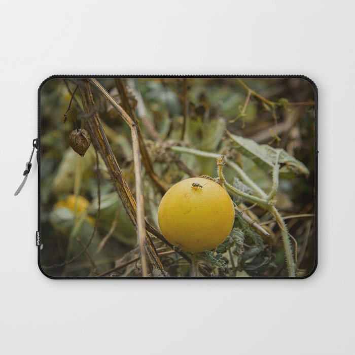 Insect on Yellow Fruit Laptop Sleeve