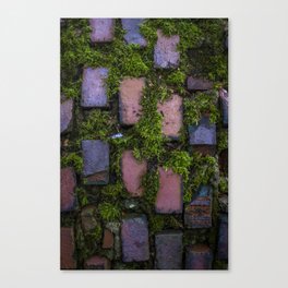 some bricks Canvas Print