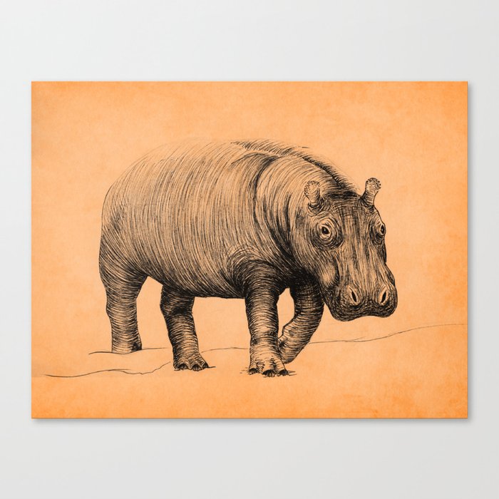 Hippo Canvas Print