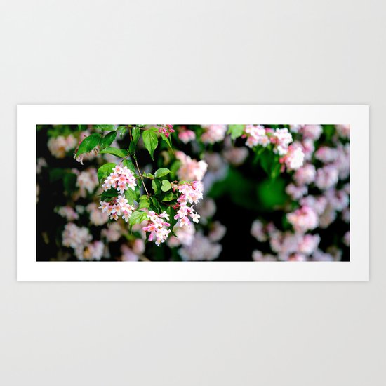 Spring Into Action Art Print