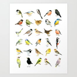 Garden Birds Art Print