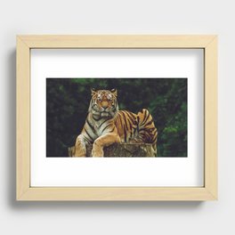 tiger Recessed Framed Print