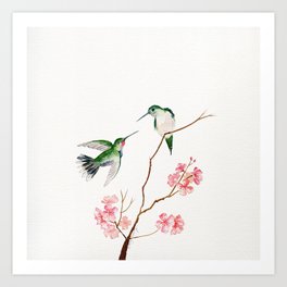 Hummingbird Romance 3 Art Print