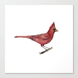 Cardinal Courage Canvas Print