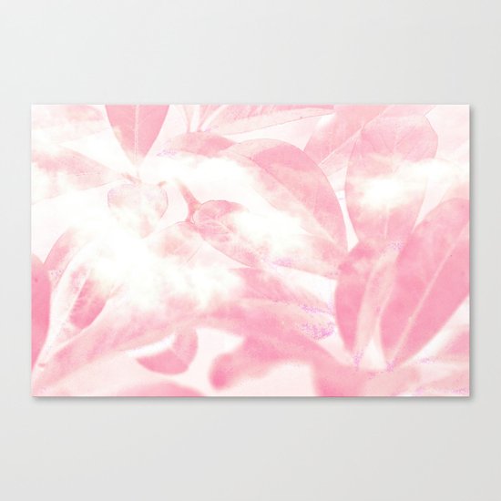 #145 Canvas Print