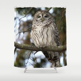 Barred owl Shower Curtain