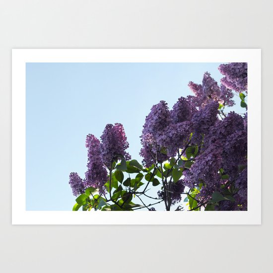 Good Morning Art Print