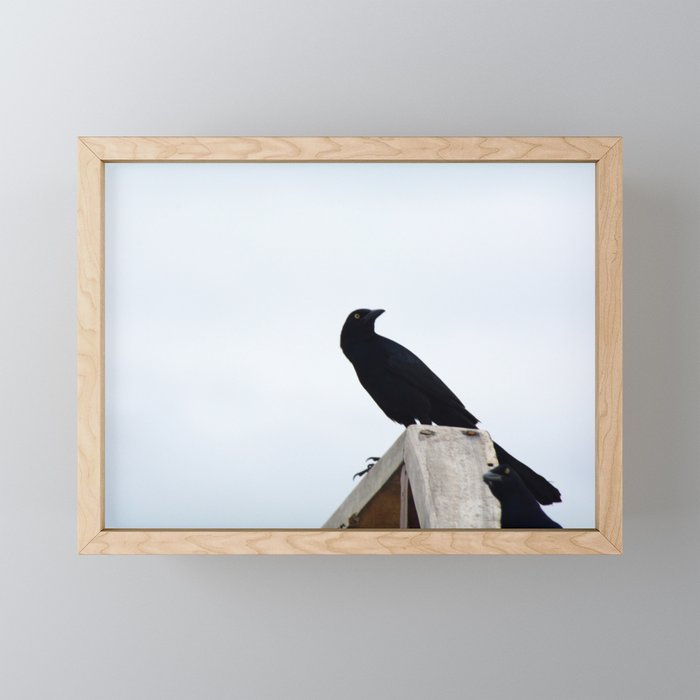Bird collection _03 Framed Mini Art Print