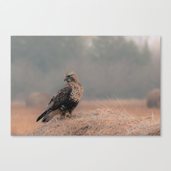 Feathered Wanderer Canvas Print
