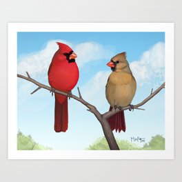 Cardinals Art Print
