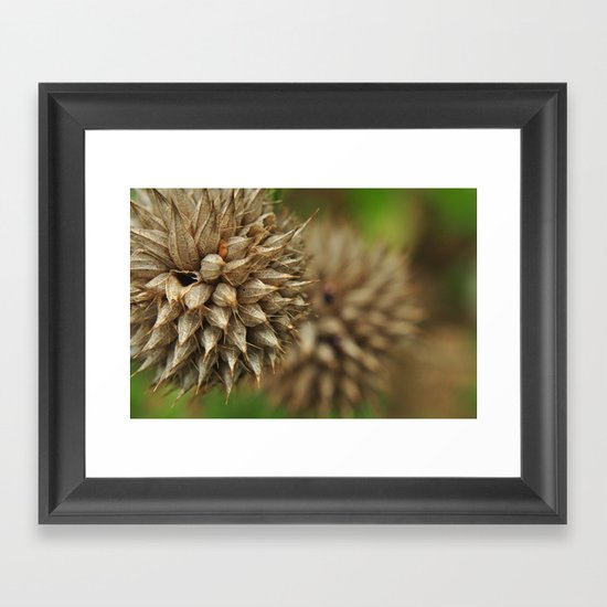 waiting for winter Framed Art Print