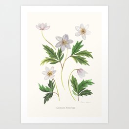 Retro Gouache Floral Forest Anemone Art Print
