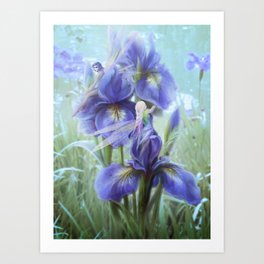 Imagine - Fantasy iris fairies Art Print