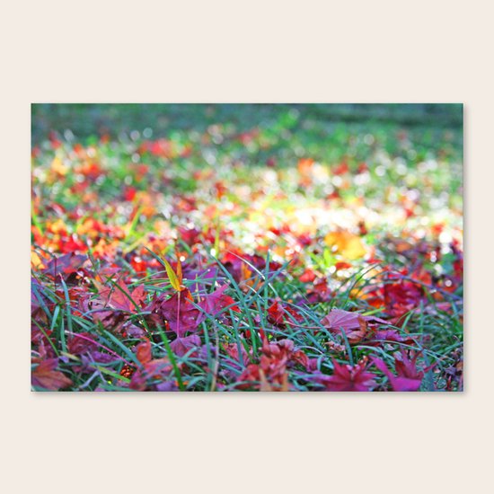 Autumn II Canvas Print