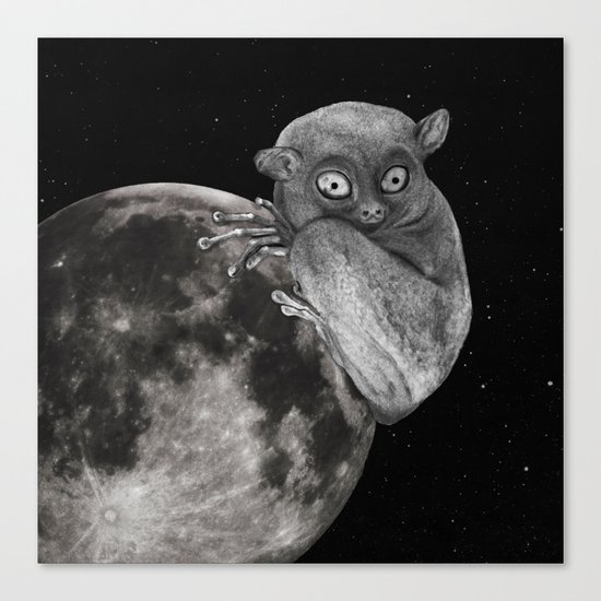 The Tarsius Who Reached His Light Source Canvas Print
