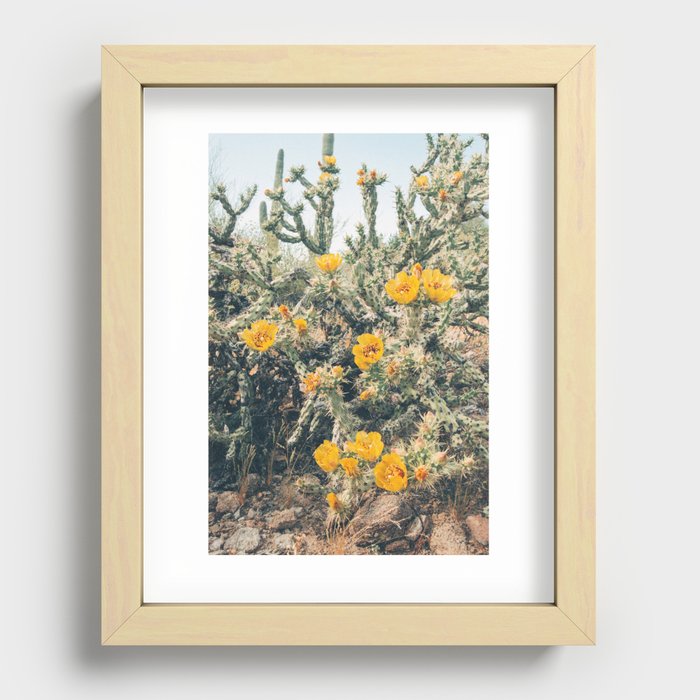 Buckhorn Cholla Cactus Flowers Recessed Framed Print